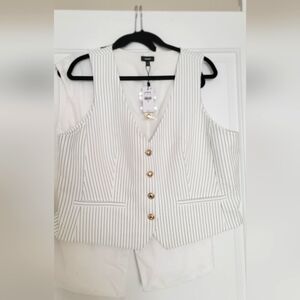 Express Pinstripe Novelty Button Front Blazer Vest